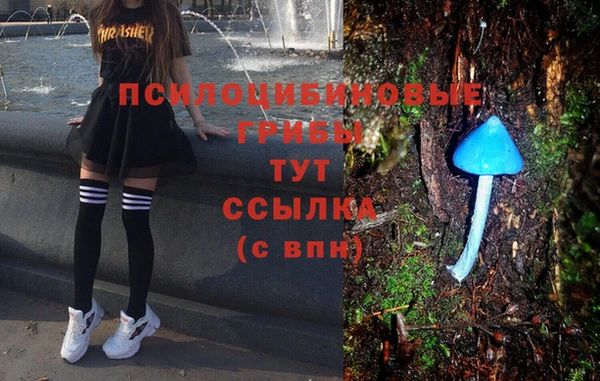 прущая мука Бронницы
