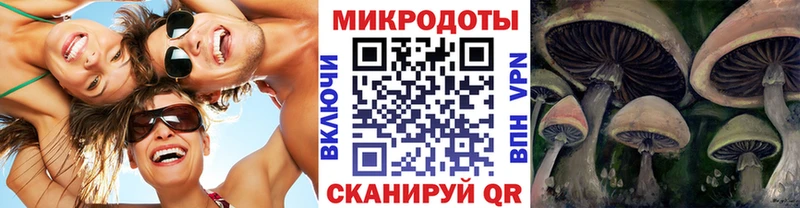 ОМГ ОМГ зеркало  Пионерский  Галлюциногенные грибы мухоморы 
